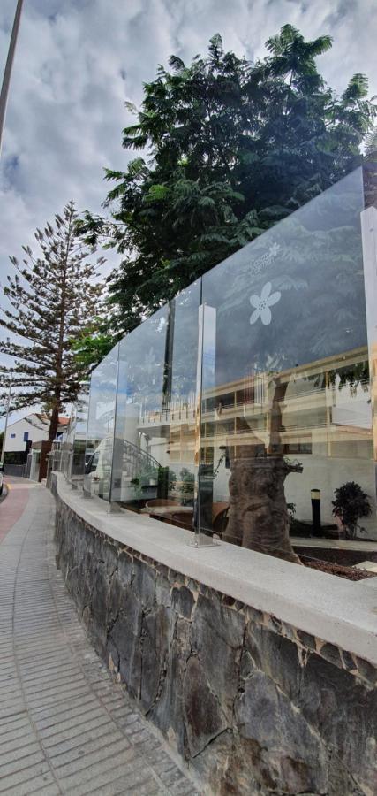 Apartamentos Casas Carmen - Adults Only Playa del Ingles  Bagian luar foto
